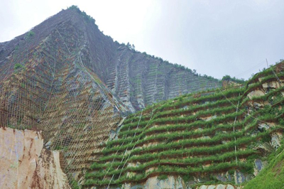 福建矿山生态修复