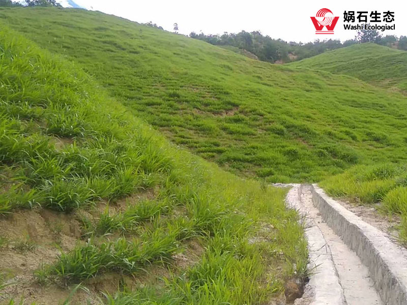 茂名边坡复绿